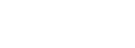 Vice